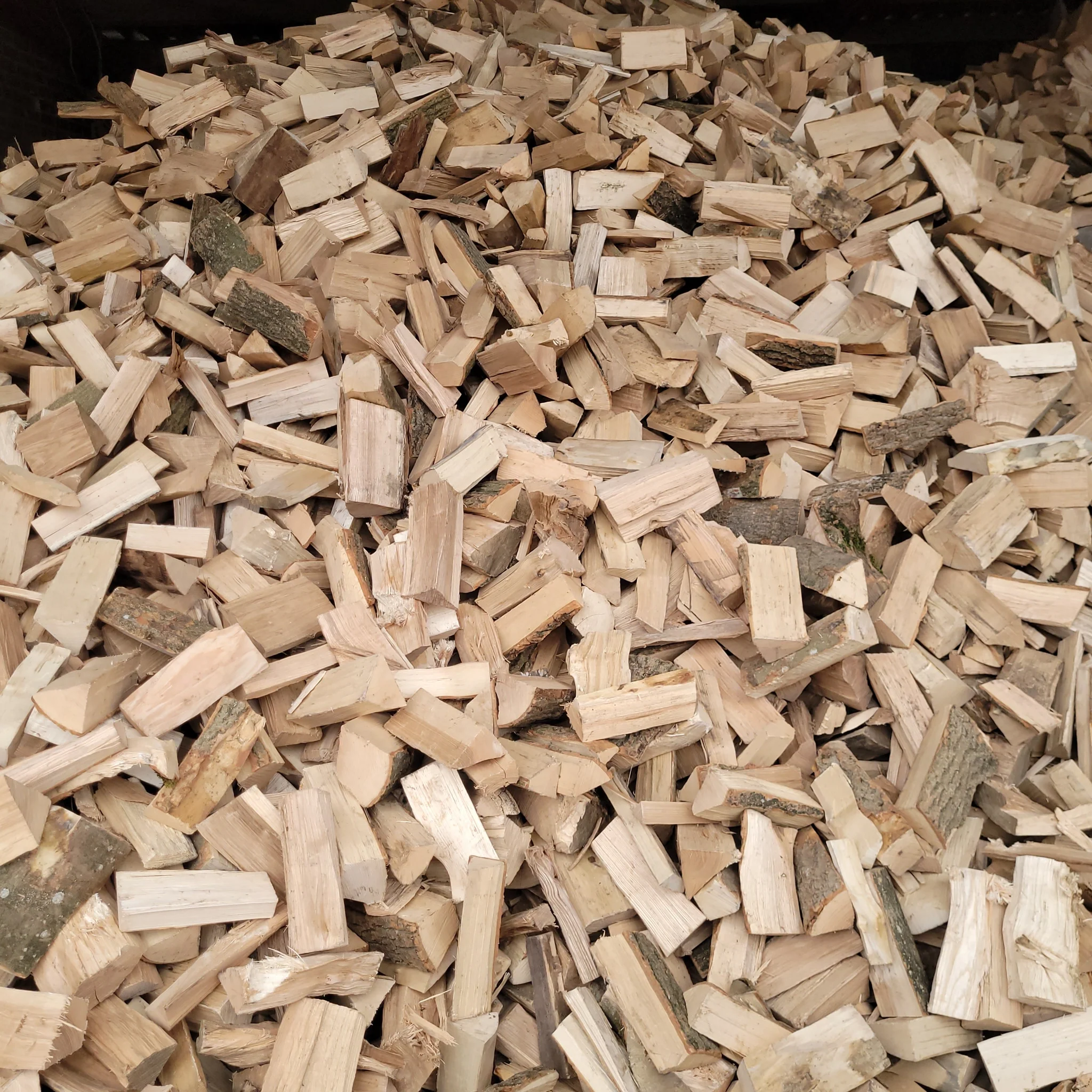 kaminholz-esche-trocken-5425115_1024x1024@2x.webp